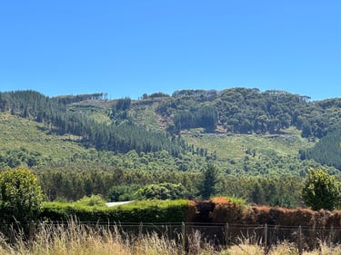 Country Riding: Flat Tire edition