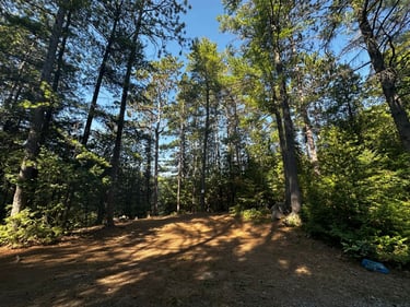 LDW Day 3: day-long pain cave