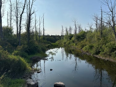 QBC Bikepacking return from Merrickville