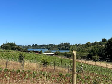 Country Riding: Flat Tire edition