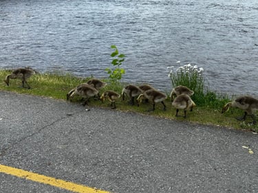 three quarters of two hundred