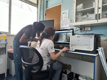 Brevet Valdivia: Accident Edition 🚑