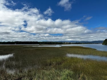 Valdivia 👉 Niebla