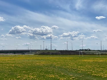 SJAM + Wesley Clover