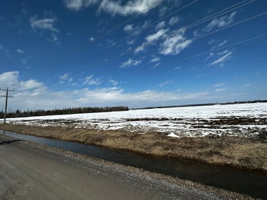 Surprise Spring Runoff Sesh