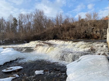 Petit Roubaix with the gang