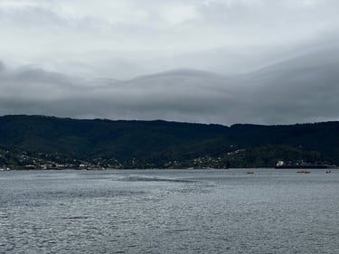 Valdivia 👉 Niebla