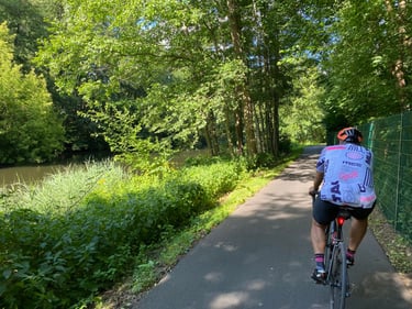 a person riding a bicycle on a path in a wooded area