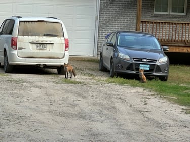 Tour de Petite Nation - Day 1