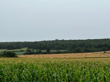 Rideau Lakes Tour: Day 1 Cruise