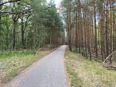 Spandau con Ezequiel 