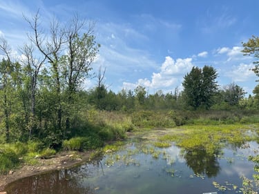 QBC bikepacking to Merrickville
