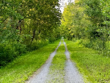 Chaffey’s Lock to Ottawa through Merrickville