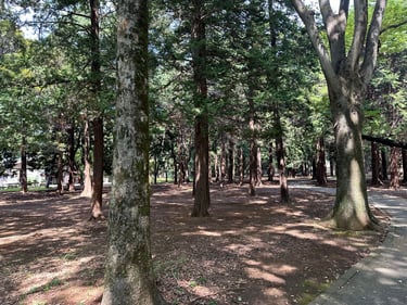 Tokyo Scramble to Yoyogi Park