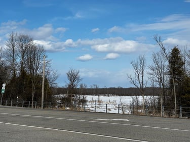 Petit Roubaix with the gang