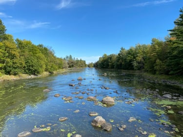 a river with rocks and trees