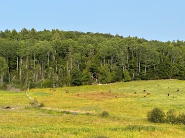 Tour de Petite Nation - Day 1