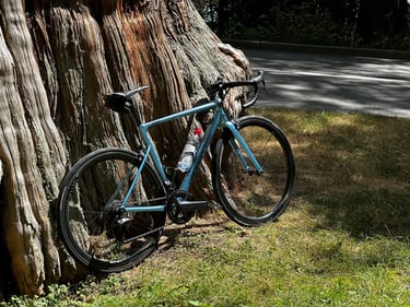 Exploring North Vancouver