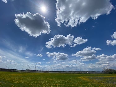 SJAM + Wesley Clover