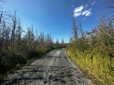 LDW Day 3: day-long pain cave