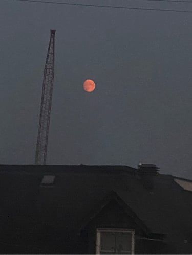 perfect summer night ride