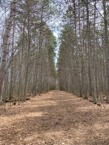 Hitting the Trails with Nathan