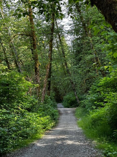 Exploring North Vancouver