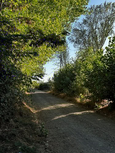 Wandering around Monterrico