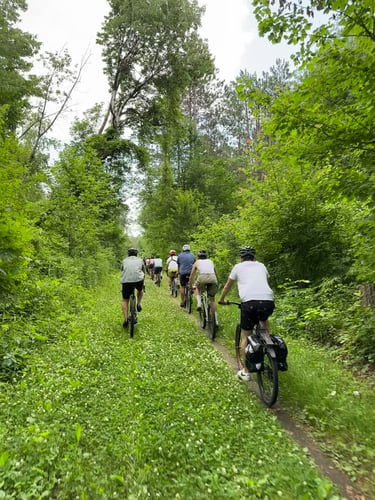 Step Thru Train Ride