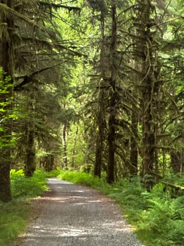 Exploring North Vancouver