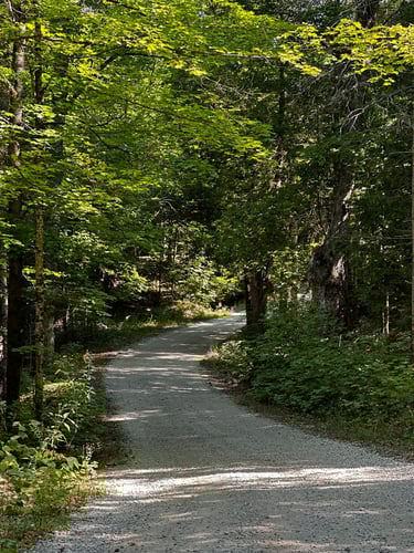 LDW Day 3: day-long pain cave