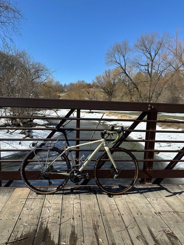 ice-skating by the arboretum