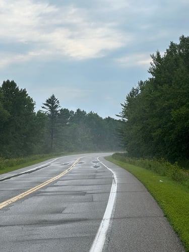 Step Thru Train Ride