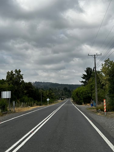 Antuco towards Los Ángeles (the real LA)