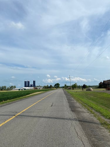 a road with grass and buildings on the side