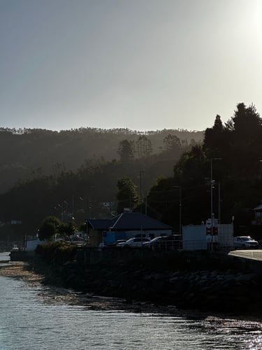 Niebla + Corral 🚵‍♂️