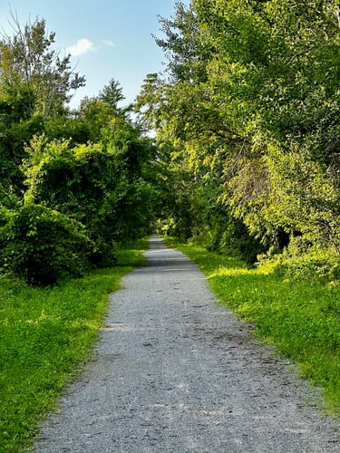 Chaffey’s Lock to Ottawa through Merrickville