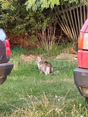 wandering around leipzig