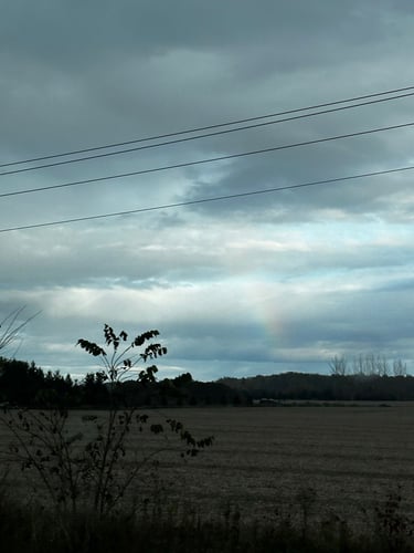 Hopetown Hoedown with Tony!