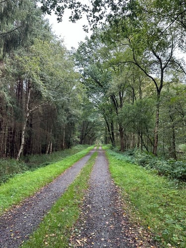 To Krautsand #eurobiketrip