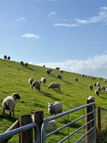 To Bremerhaven #eurobiketrip