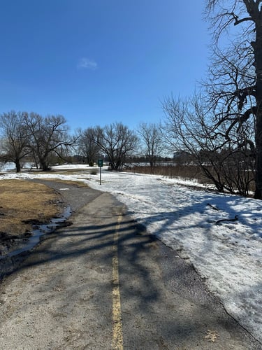 ice-skating by the arboretum