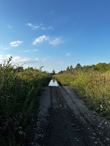 LDW Day 2: chill day