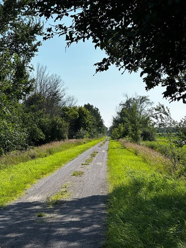 Bikepacking to The Opinicon