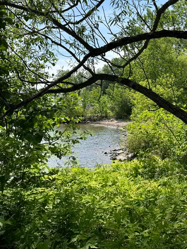 camping with nathan and nick