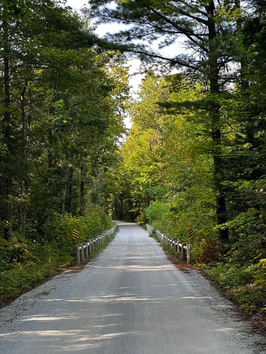 LDW Day 2: chill day