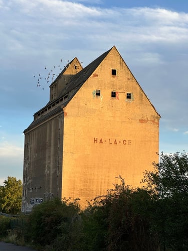 wandering around leipzig