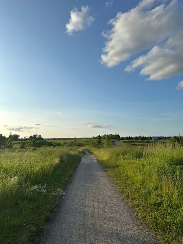 going camping to Plaisance!