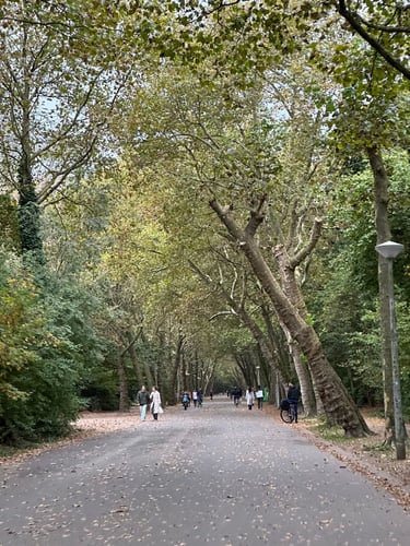 amsterdam parks ride