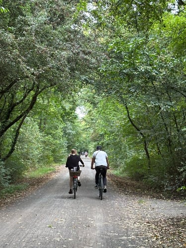 felix’s route around Leipzig